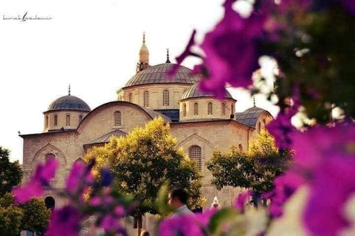 Kıldığımız namazları 
Ahirette bir paçavra gibi yüzümüze fırlatma Allah’ım !

AlaeddinÖzdenören 

Sabah’ul Hayr🍁🍂