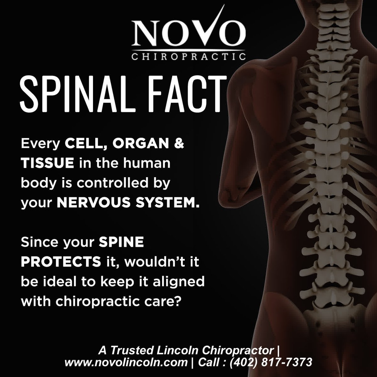 Novolincoln's tweet photo. Some great tips on how to find a good chiropractor with Dr. Shane Davidson DC

Visit us: https://t.co/MsyKk38ro3 https://t.co/jlqs0v7lKY
