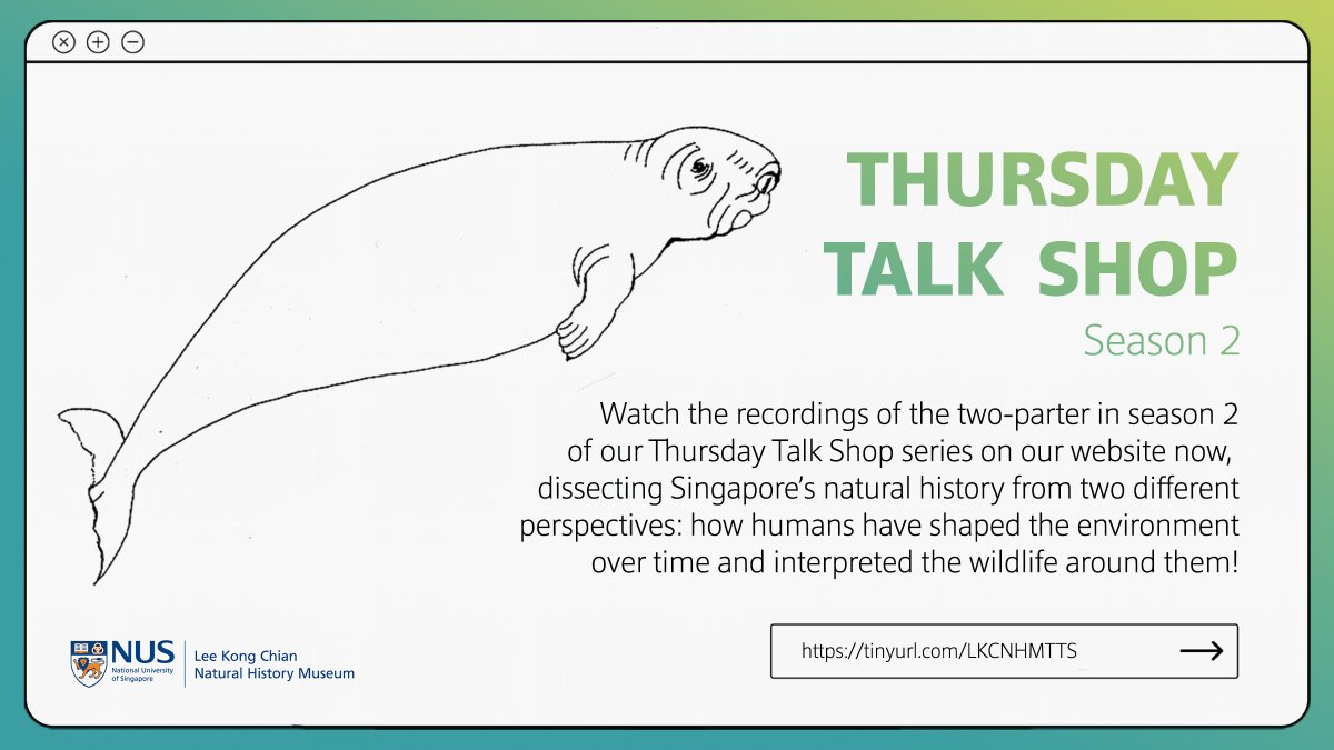 lkcnhm's tweet photo. [Web-talk] Missed our recent #ThursdayTalkShop sessions during the June holidays? Catch the two-parter on our website now to #LearnwithLKCNHM and @acres_sg about human-nature relationships and clear up some common biodiversity-related misconceptions!

📹: https://t.co/IF2j2d7u4r https://t.co/xMASUbzHiV