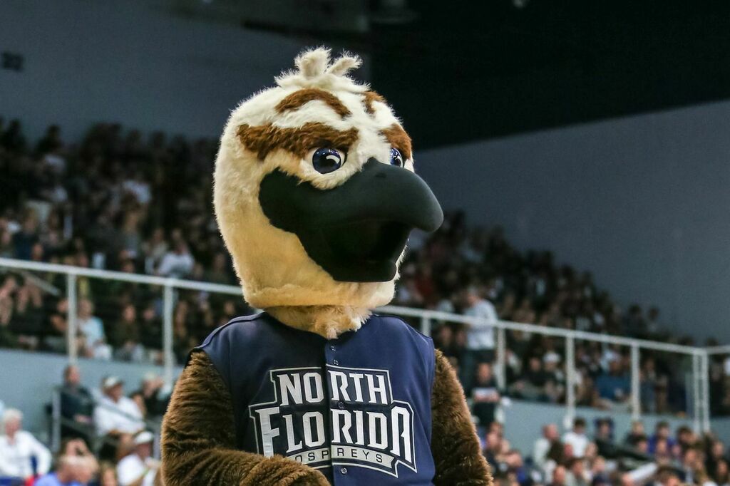 Go Seminoles tweet media