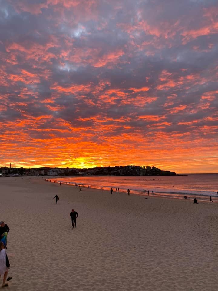 JulSmall's tweet image. How great are early mornings in #Bondi!