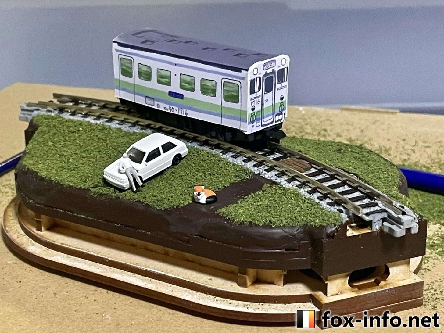 キツネ写真館@キツネ飼養中 on X: 