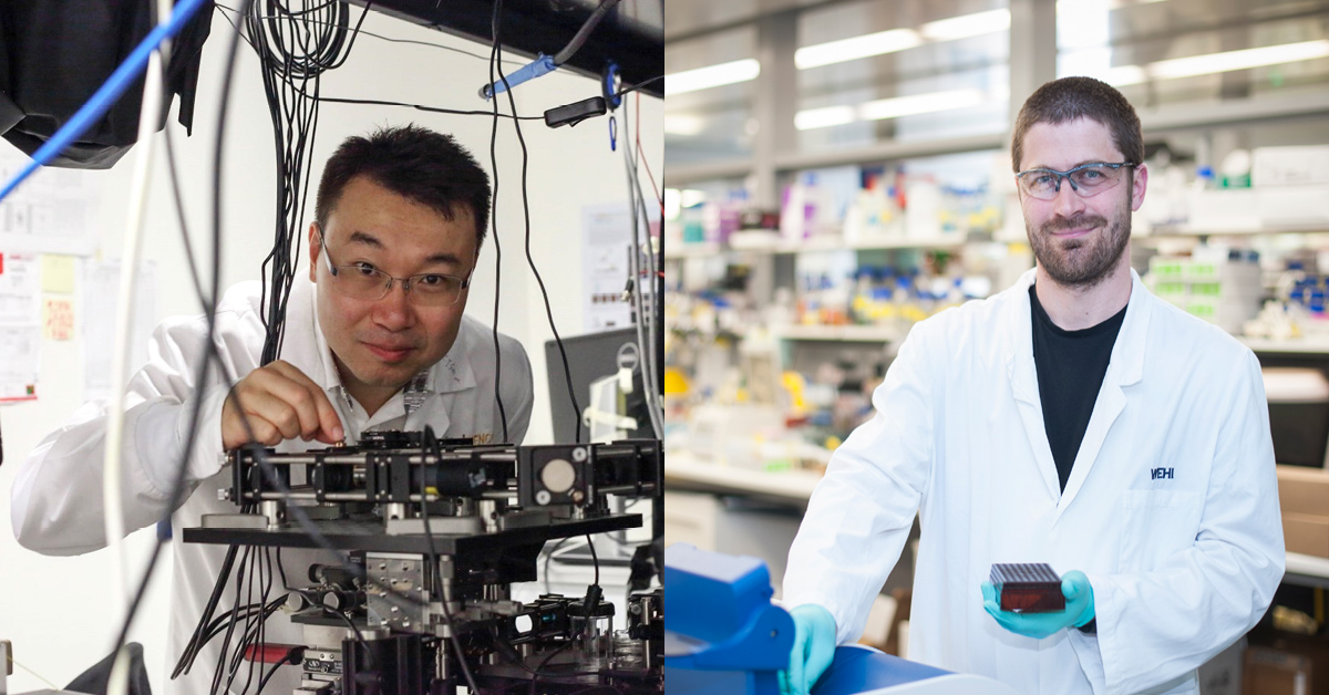 Science at Melbourne (@scimelb) on Twitter photo Congratulations to A/Prof Marco Herold <a href="/MarcoHerold_J/">Marco Herold</a> and Dr Fan Wang <a href="/Fan_uts/">Fan Wang</a> for being awarded the prestigious David Symes Award. <a href="/WEHI_research/">WEHI (Walter and Eliza Hall Institute)</a> <a href="/UTSResearch/">UTS Research</a> science.unimelb.edu.au/news/david-sym… Congratulations to A/Prof Marco Herold <a href="/MarcoHerold_J/">Marco Herold</a> and Dr Fan Wang <a href="/Fan_uts/">Fan Wang</a> for being awarded the prestigious David Symes Award. <a href="/WEHI_research/">WEHI (Walter and Eliza Hall Institute)</a> <a href="/UTSResearch/">UTS Research</a> science.unimelb.edu.au/news/david-sym…