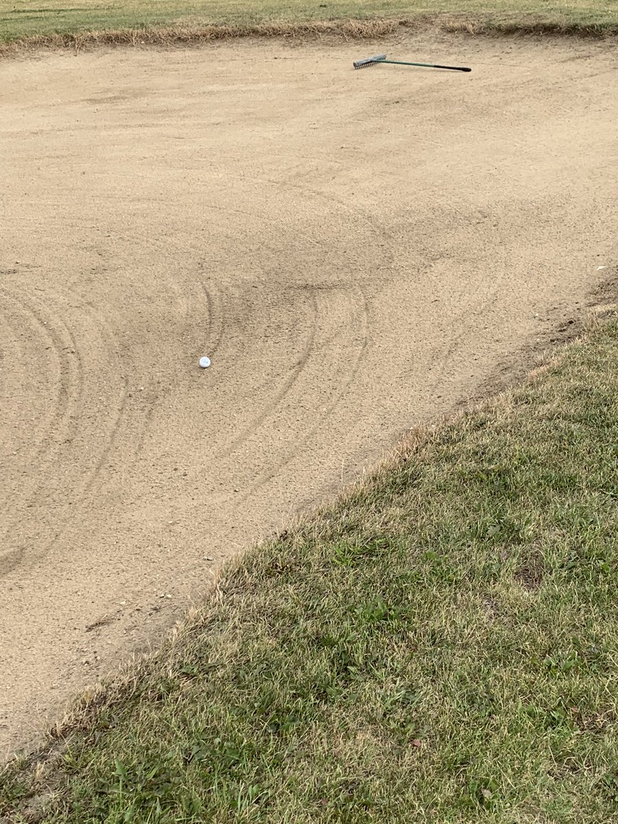 Rob Thompson tweet media