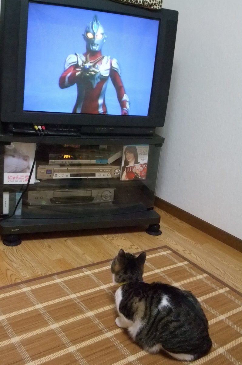 ウルトラマン 画像 最新情報まとめ みんなの評価 レビューが見れる ナウティスモーション 62ページ目