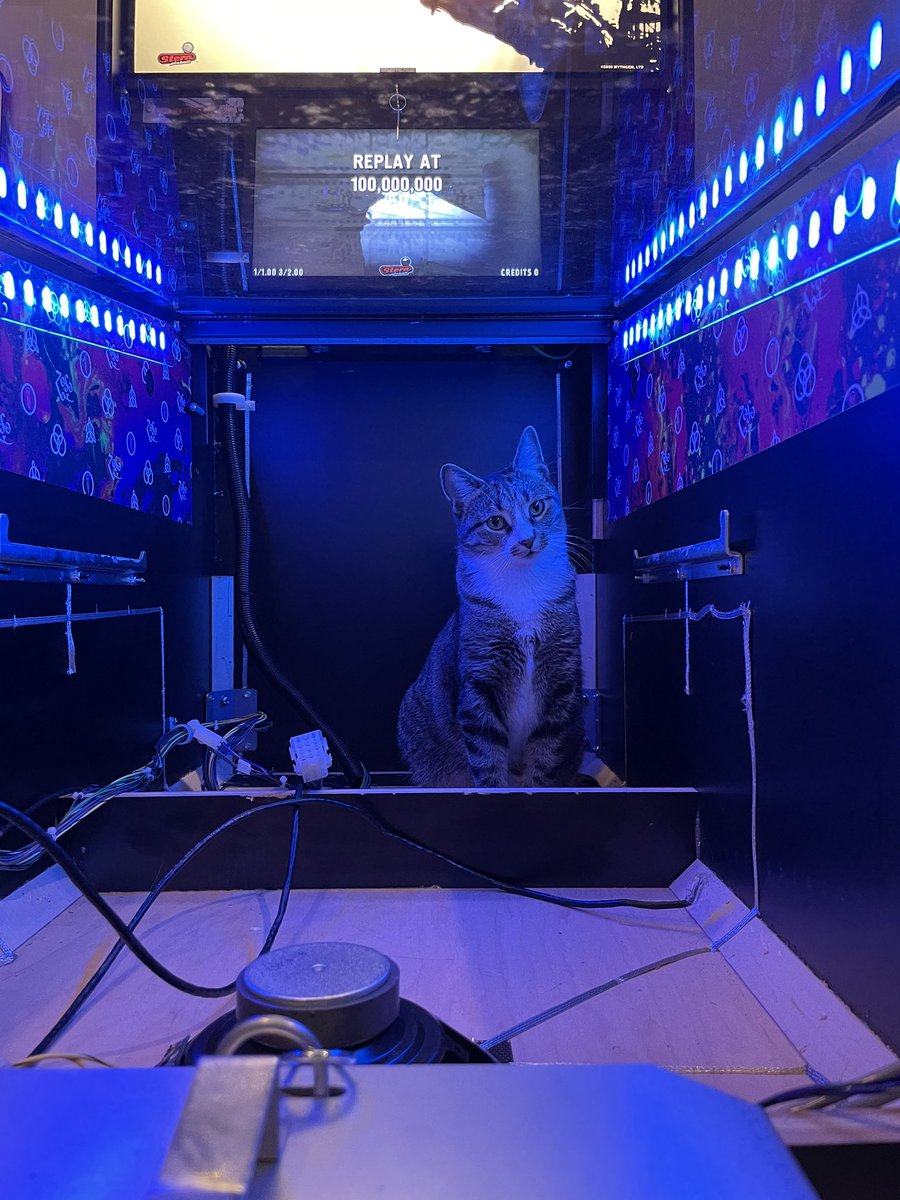 TimbaIIs's tweet photo. A lot of people are surprised when they learn what it looks like underneath a pinball playfield https://t.co/Ufu1Olbqet