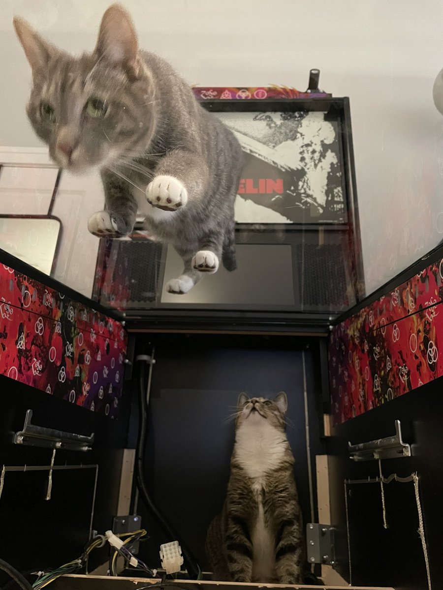 TimbaIIs's tweet photo. A lot of people are surprised when they learn what it looks like underneath a pinball playfield https://t.co/Ufu1Olbqet