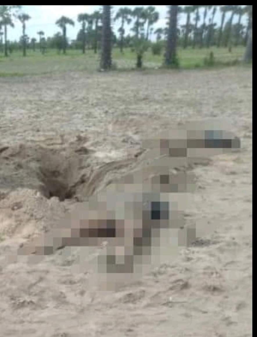 Gulf4121997's tweet photo. Tw//Death
Today, Locals from #ZeePinDwin village, #Kany Tsp found 4 dead bodies (men) in a pit. The body of a 60 yo man who was strangled to death has been found at plum tree. The death toll from gunshot wounds, arrested, killed &amp; beaten with handcuffs is the highest.
#July28Coup https://t.co/sFZzkFnAW3