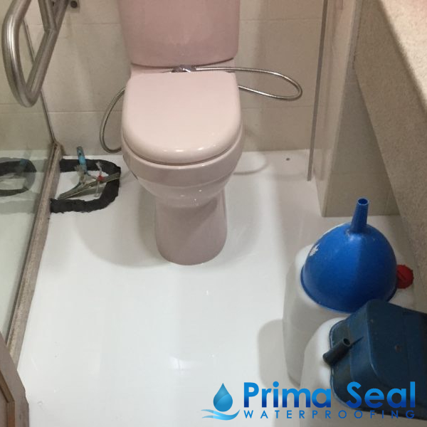 Prima Seal (@primaseal) / Twitter Prima Seal (@primaseal) / Twitter