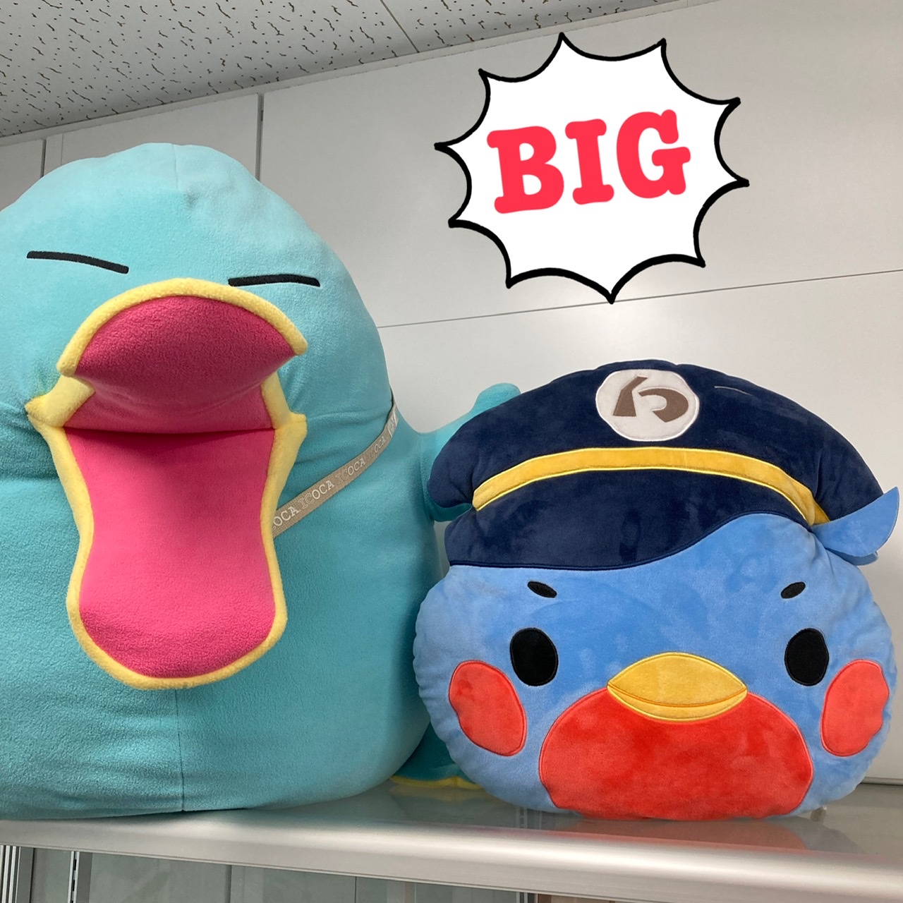 トレインボックス 公式 ジェイアール西日本商事 株 ウメテツ クッション は ギガイコちゃんに負けないくらいビッグサイズ ふわふわもちもち ウメテツ マスコット T Co Ihiapukkwy ウメテツ クッション T Co