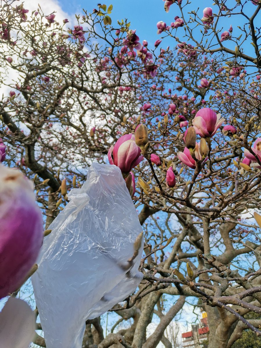 'Out of Place' by Jasmine for 
@YREInt
 - 'Too often we see litter lying around aimlessly, out of place. Is this how we want our world to be?' 
<a href="/StonefieldsSch/">Stonefields School</a>
 #sustainable #journalism