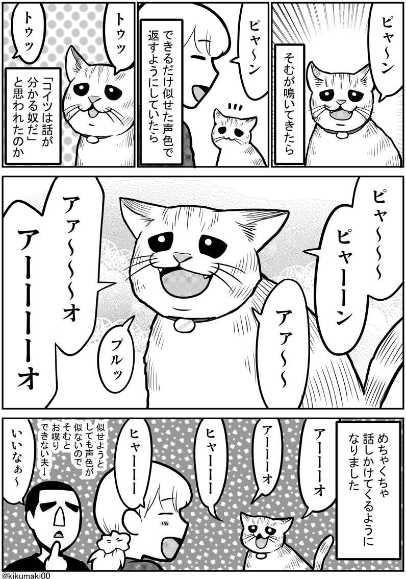 きくまき V Twitter お喋りそむちゃん タレ目猫そむ タレ目猫そむが可愛すぎるんじゃ