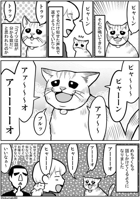 お喋りそむちゃん #タレ目猫そむ #タレ目猫そむが可愛すぎるんじゃ 