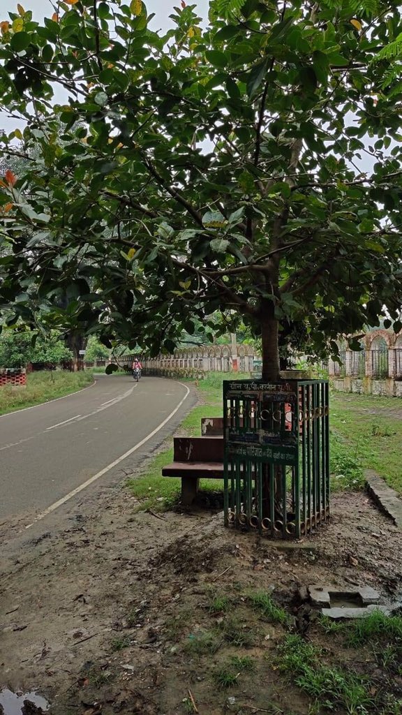AnshumanSP's tweet photo. In this auspicious month of sawan , the sacred city Ayodhya is blooming with greenery .All of this has been possible because of the vision of Shri @yadavakhilesh and his initiative #GreenUPCleanUP . This Parikrama Marg had never been so alive before !
#WorldNatureConservationDay https://t.co/N8jvuuCLfx