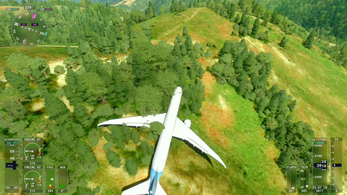 Umm, this is how you play Flight Simulator right?? 🤣