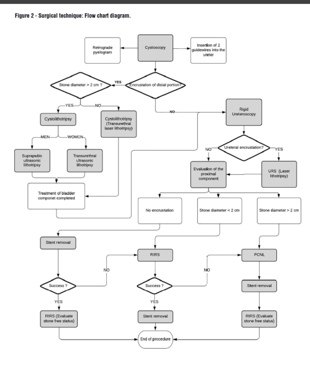 Endouro Brigadeiro tweet media