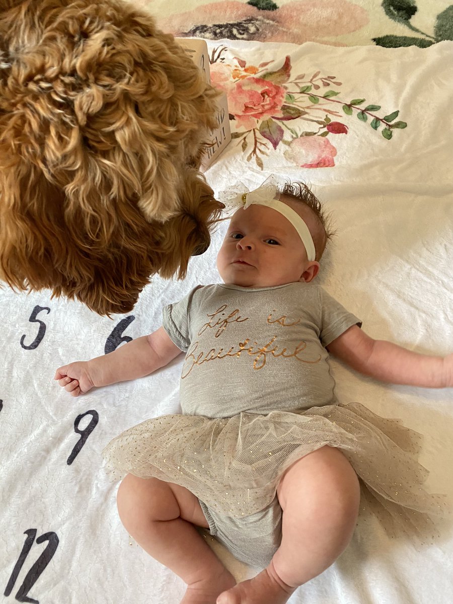savsosaa's tweet photo. Harlow Faye 💗 https://t.co/5EJB33aju3