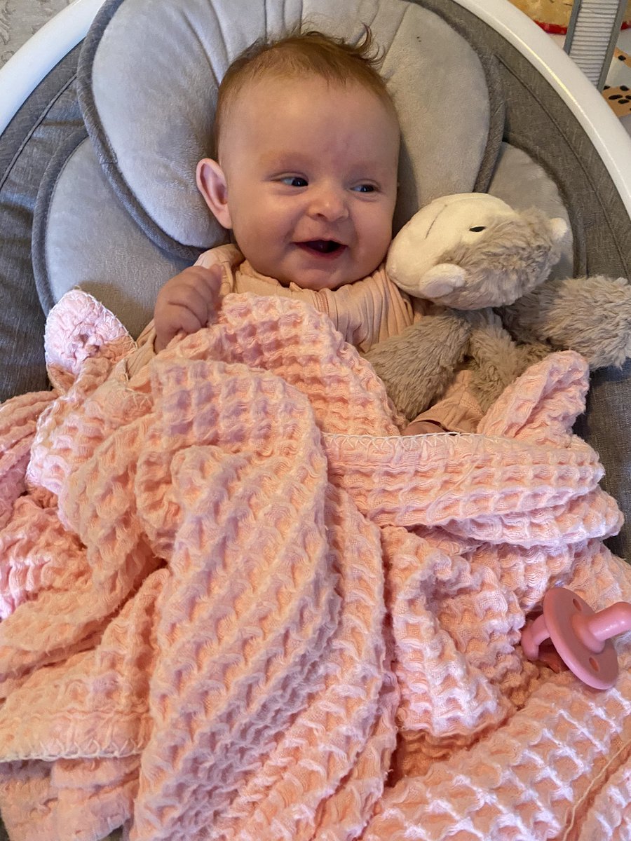 savsosaa's tweet photo. Harlow Faye 💗 https://t.co/5EJB33aju3