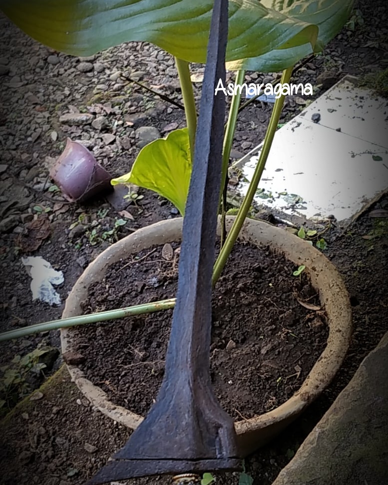 Gagah dan Perwira

#mahar #tosanaji #mahartosanaji #pusaka #keris #kerispusaka #tombak #koleksiantik #pepadi #koleksipusaka #sepuh #pusakasepuh #pusakanusantara #nusantara #javanese #instapict #woldwar #kolektor #kolektorkeris #indonesia #klenik

Cp Whatapps : 081215963159