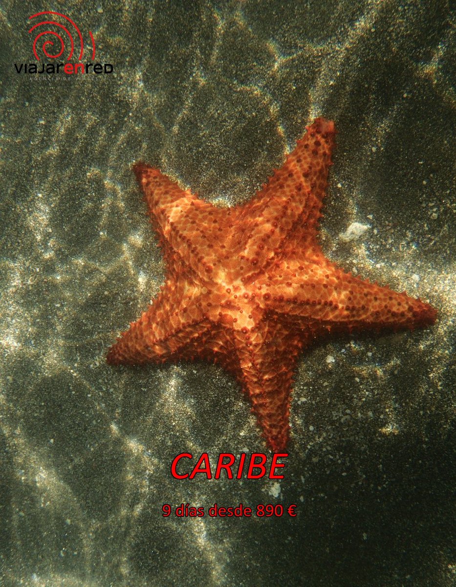 VACACIONES CARIBE 2021 
Ahora más fácil que nunca, última hora. Reserve directamente en calle San Antón,72 y tendrá un descuento especial. 
 TF 644020148 
#ofertasviajescaribe  #viajescancelaciongratis #ofertasultimahoracaribe
#ofertasespecialesviajes #viajesveranocarib