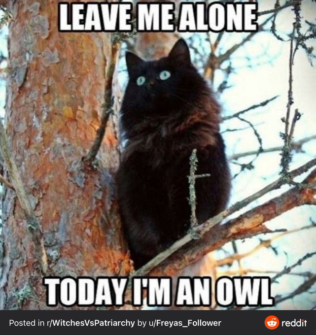 Watch Heartessinlove's leaked NSFW photo on TwXstars