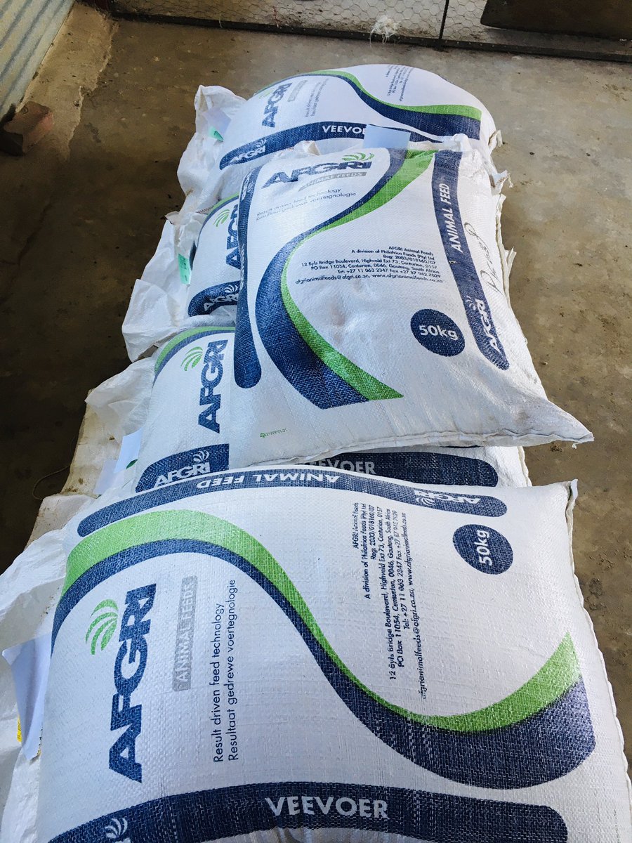 AaronMonyai's tweet photo. Things we buy young emerging broiler farmer. @AFGRI1 @nwpg_dard @DesboMohono @LocalMoretele #ruralfarming #loveagriculture #youngandfarming #agriculture #broilerfarmer #youngfarmer https://t.co/P6zQPoXt1S