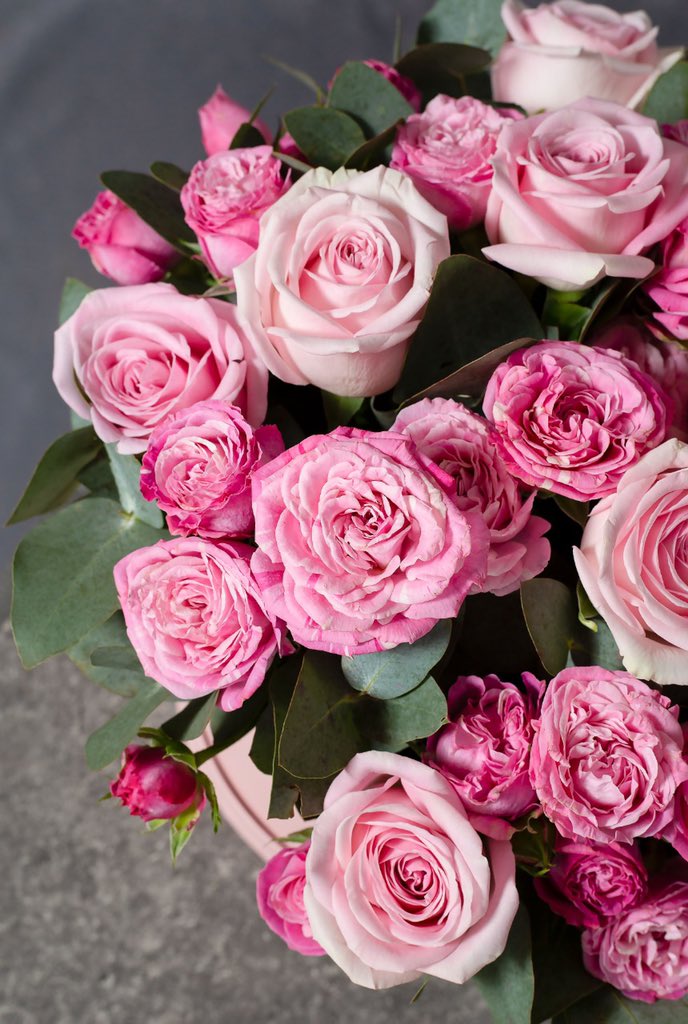 FlowersIreland's tweet image. Looking for a pretty gift? The Baby Pink Hatbox is always popular 💕

We send you a video on all orders and are the highest rated florist in Ireland!

#flowers #hatboxes #florist #flowersie #lavender #lavenderhatbox #hatbox #giftideas #happybirthday