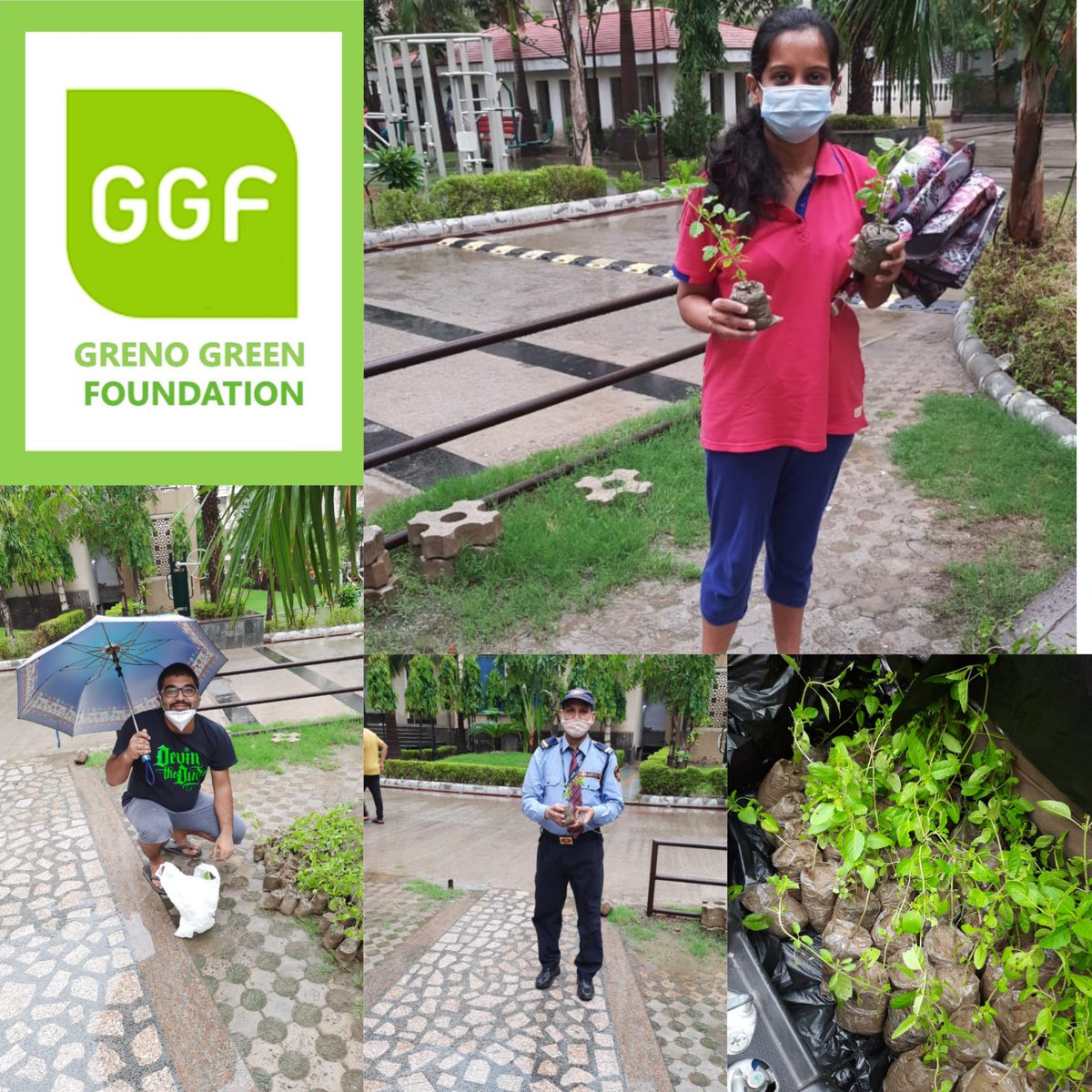 GreenGreno's tweet photo. Tulsi Distribution Amrapali Princely Sector 76 Noida. https://t.co/ftY3TkvvK8