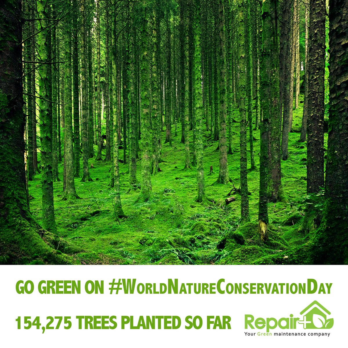 Repair_Plus's tweet image. Go Green with Repair Plus on #WorldNatureConservationDay 
154,275 trees planted so far 🌳👨‍🔧🏡⁣
⁣
⁣#RepairPlus #GoGreen #maintenance #homemaintenance #Dubai #family #home #ecofriendly #greeninitiative #savetheplanet #ecofriendlyproducts #greenliving #newhome #repair #homerepair