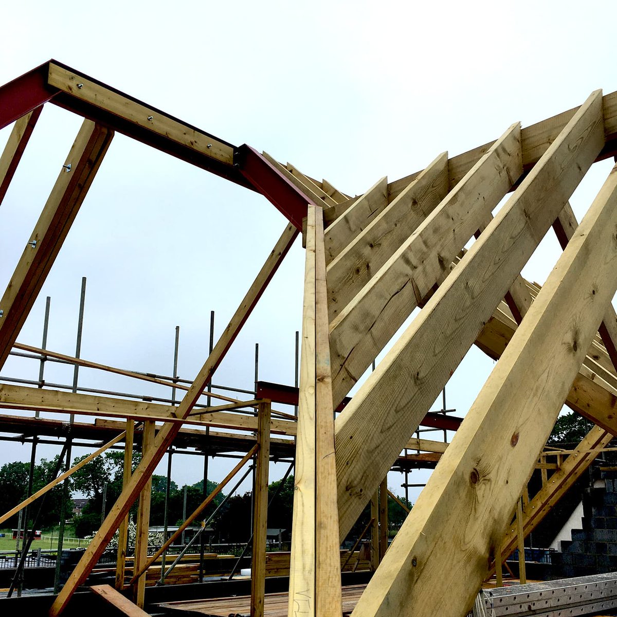 Plaice Design tweet media