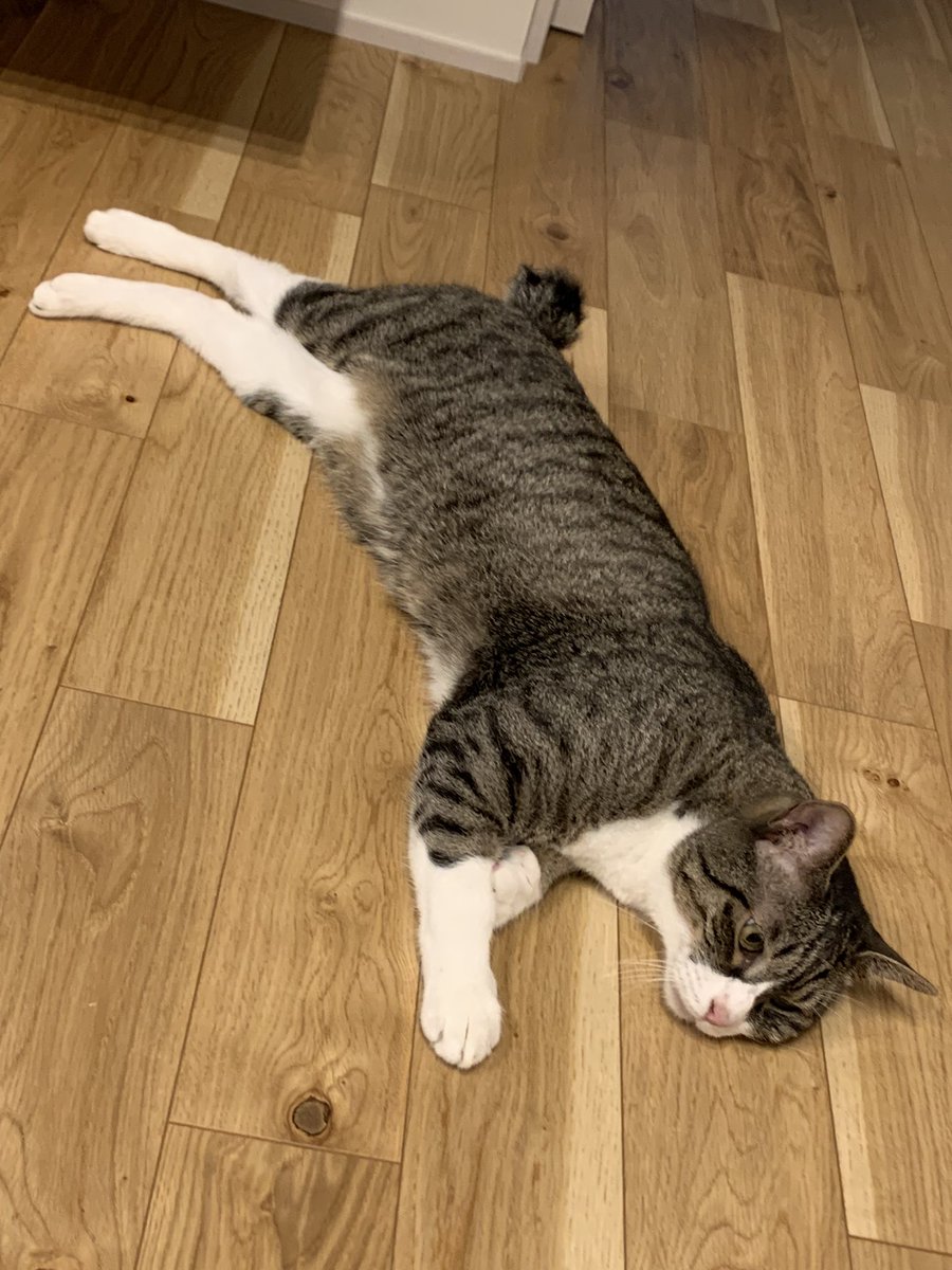 Kanzakiuro の画像 動画一覧 Whotwi グラフィカルtwitter分析