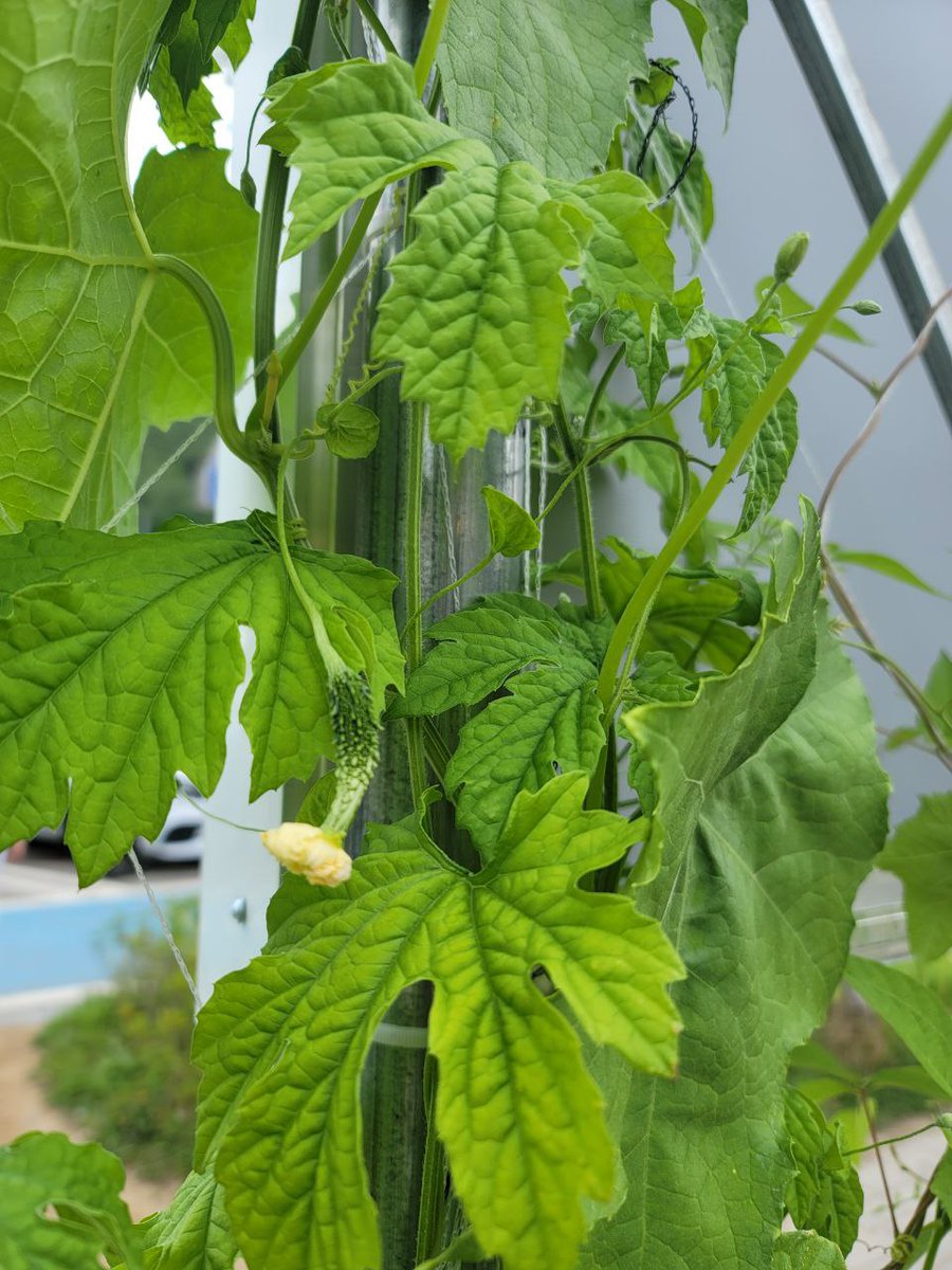 White (@eoskan44444) on Twitter photo 