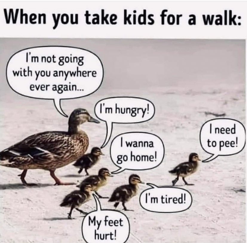Beth_Tastic's tweet photo. Accurate 🤦🏻‍♀️😬🤣🤣 if you know you know 😩🙄🤣 #Parenthood #parenting #mumlife #truestory #relatable 🤣🤣🤣 https://t.co/CdU4XN0Uso