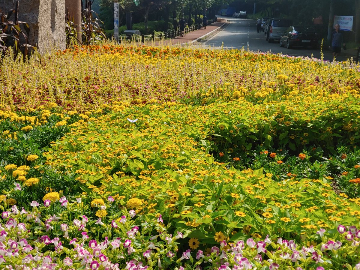 White (@eoskan44444) on Twitter photo 