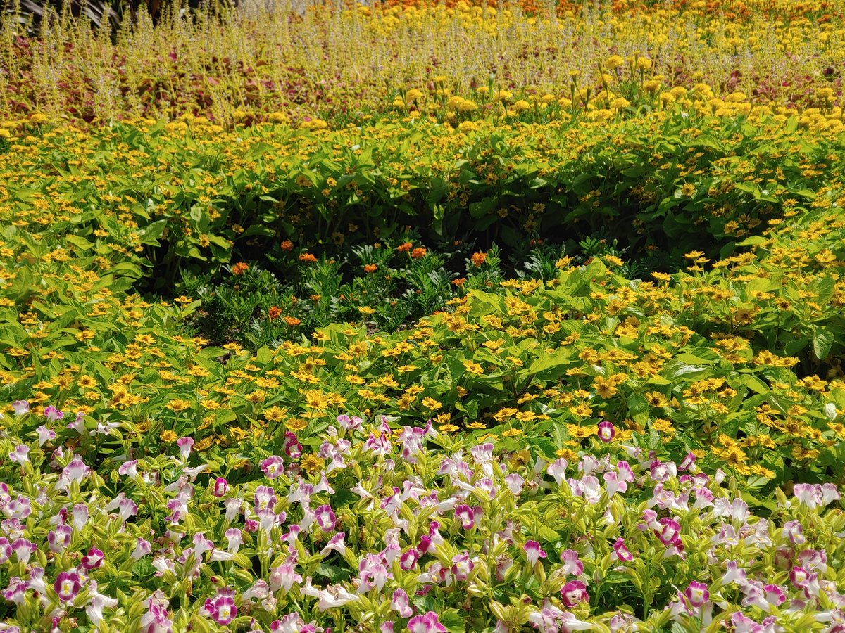 White (@eoskan44444) on Twitter photo 