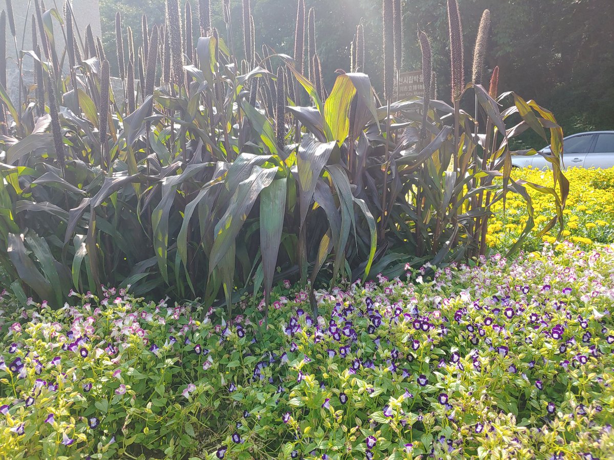 White (@eoskan44444) on Twitter photo 