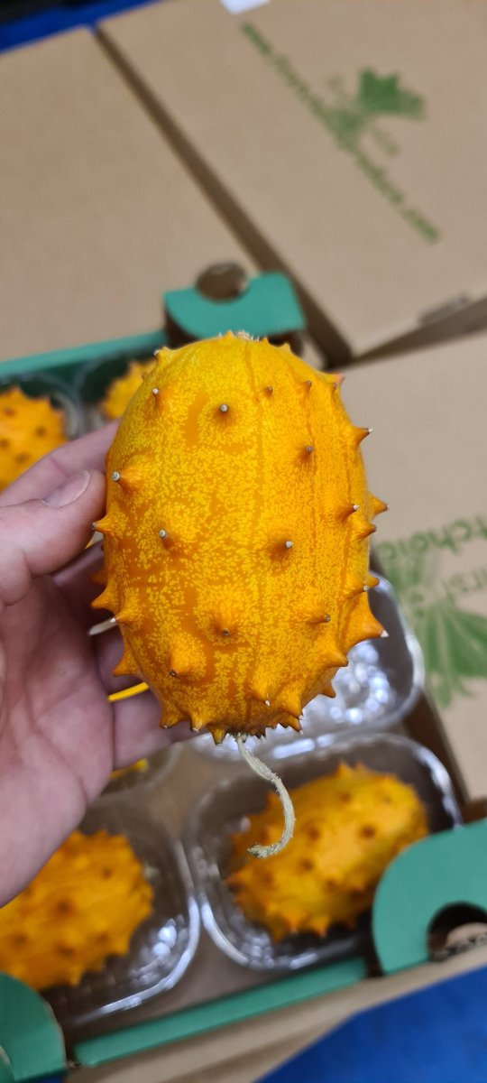 FirstChoiceVeg's tweet photo. Coming soon #kiwano #hornedmelon 

https://t.co/61PUmLsUDT https://t.co/dF0anSTwdZ