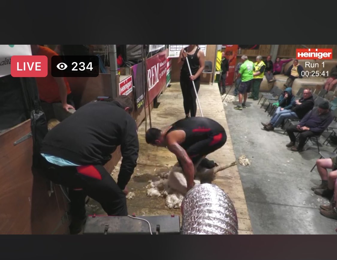 There is a shearing world record attempt is happening today, definitely worth a watch In order to get the record Stuart needs to shear a lamb every 32-33seconds 😲 This is the link If anyone wants to watch m.facebook.com/pages/category… He will be stopping for brakes, so keep watching