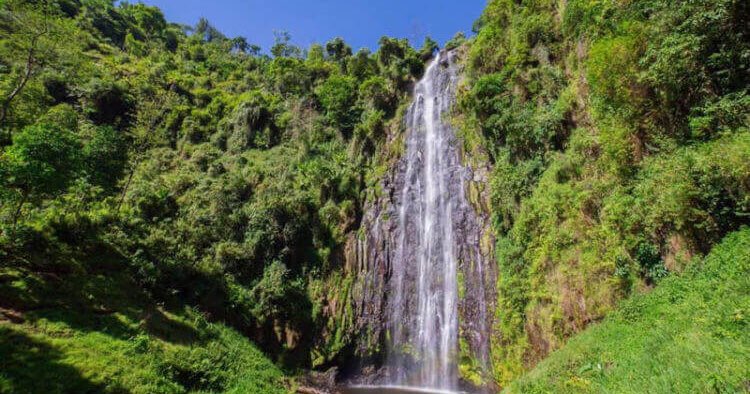 let us joing the trip contact me in #deniskishingo245@gmail.com or whasapp #+255756022821