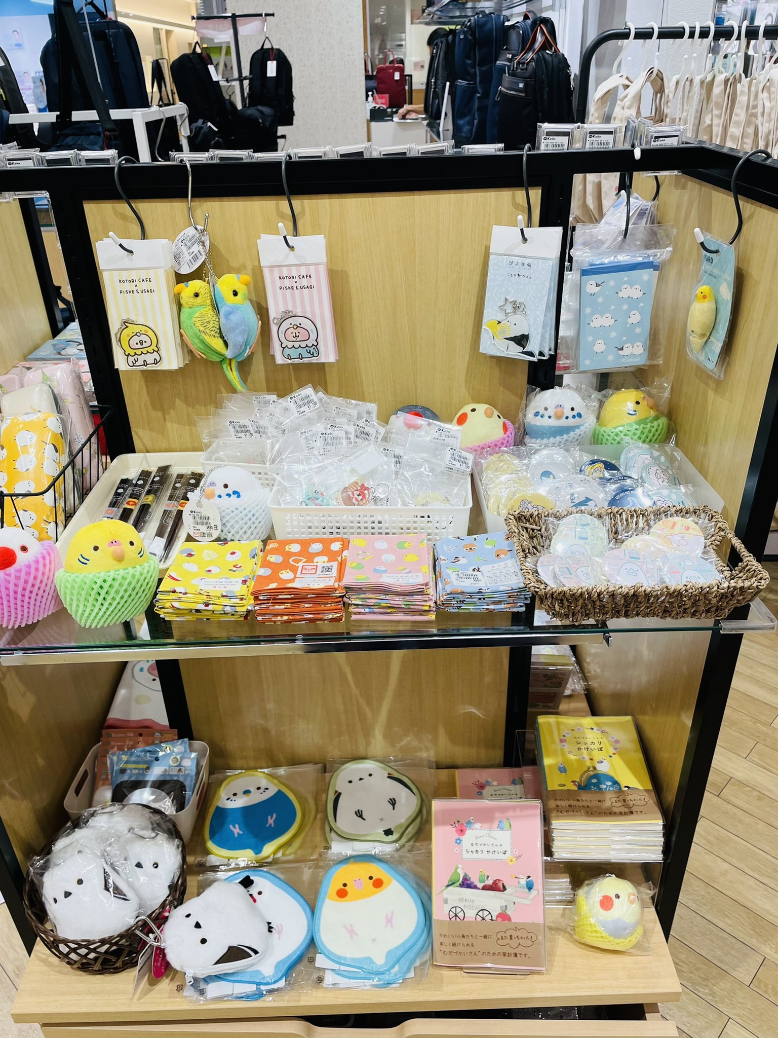 ことりカフェ なら文鳥博in近鉄百貨店奈良店11 2迄 ことりマルシェ吉祥寺 8 15まで開催中 キラリナ京王吉祥寺7階 京王井の頭線 Jr吉祥寺駅直結するショッピングセンターです おやおや 隣のshopに遊びに行ってしまってる ことりマルシェ ことり