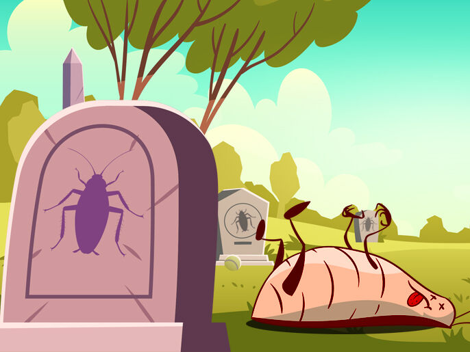 yourlocaltermi1's tweet photo. Cockroaches have lived over 200 million years, can live a whole week without water, a MONTH WITHOUT FOOD and a WEEK WITHOUT THEIR HEAD!
But they won't be able to live past a Pest Service from Your Local Termite and Pest Control! We treat pests the way pests should be treated! https://t.co/eRnIVVhcS5