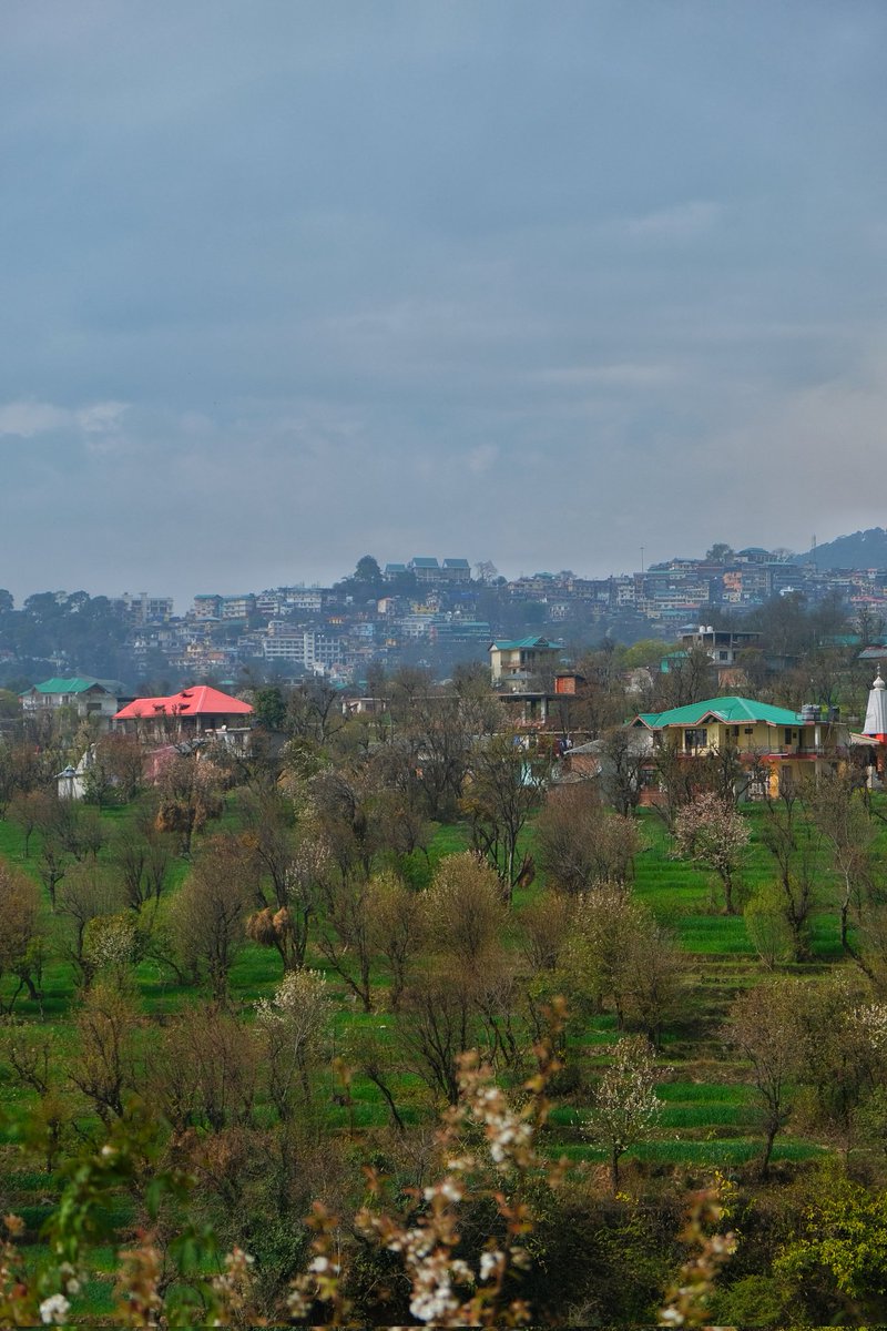 09guptaa's tweet photo. #himachalpradesh #travel #photography https://t.co/wleI0mxTOw