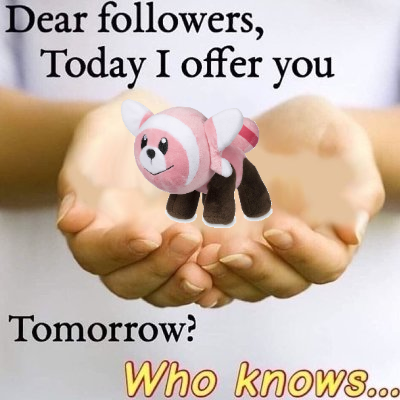 ReviewsPokemon's tweet photo. https://t.co/yvJqCGCWwo