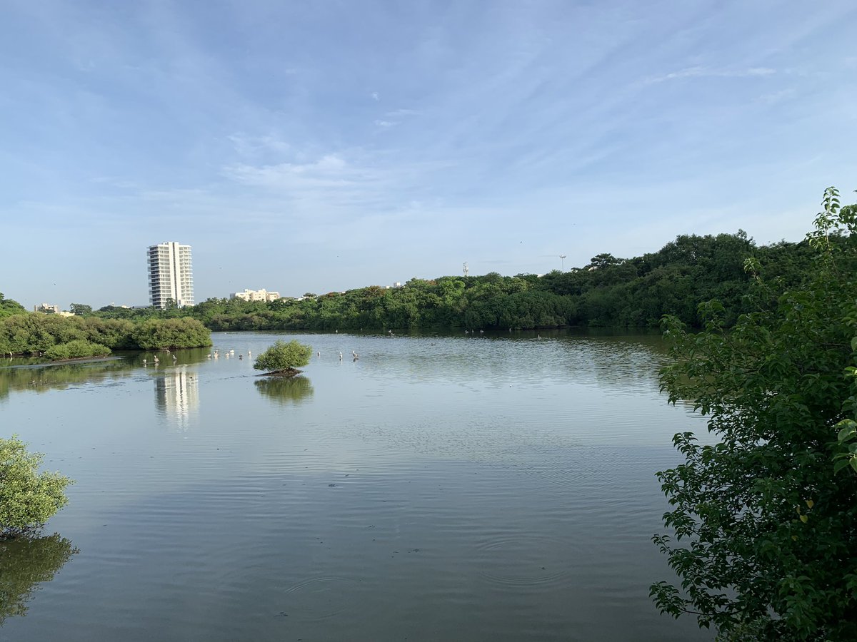 Fabiola🌻 tweet media