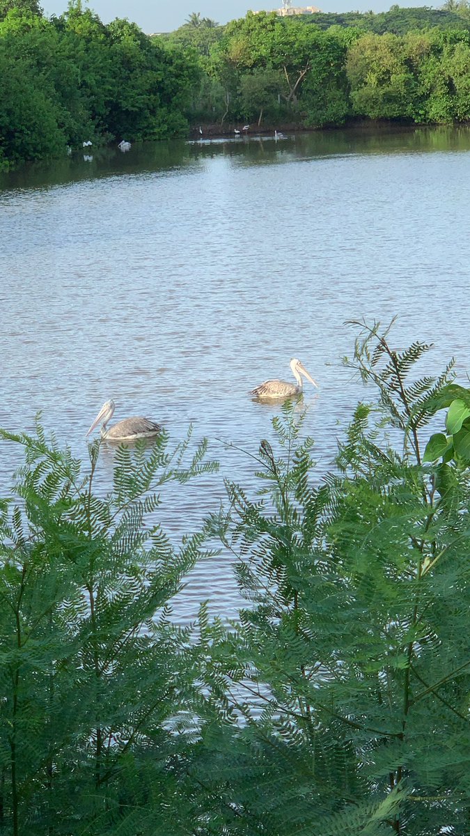 Fabiola🌻 tweet media