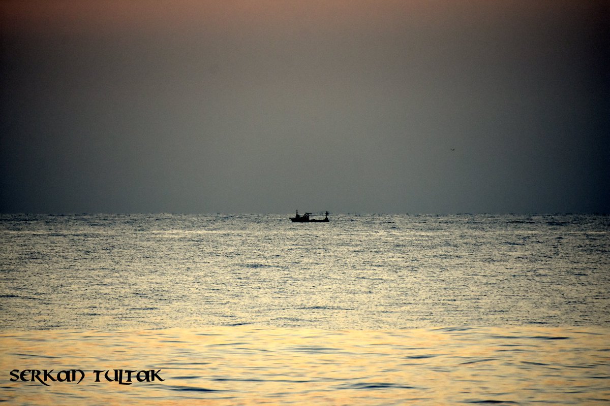 serkantultak's tweet photo. Nasip... Fotoğraf 📷 Serkan Tultak #nikond7200 #nikon_turkiye #nikonturkiye #nikond7200photography #lestguide #worldtourists #places #kadrajturkiye #fotoğraf https://t.co/paFk1BDY23
