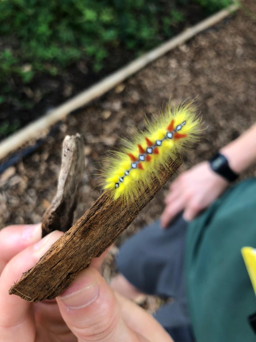 Jared Young tweet media