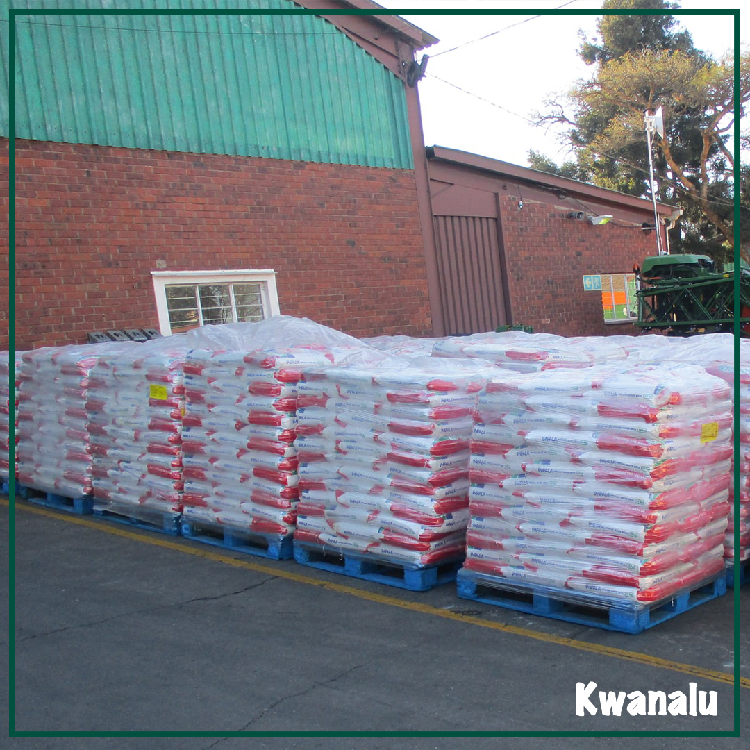 Another massive and heartfelt shout out to <a href="/SENWES/">Senwes</a> for their incredible maize meal donation of 32,69 tons as well as <a href="/FalconAgriEquip/">Falcon Equipment</a> for keeping the stock safe over the weekend! 
Picture:CEO of Kwanalu, Sandy La Marque, Kathy Hurley, and Gilbert Martin from We Are South Africans