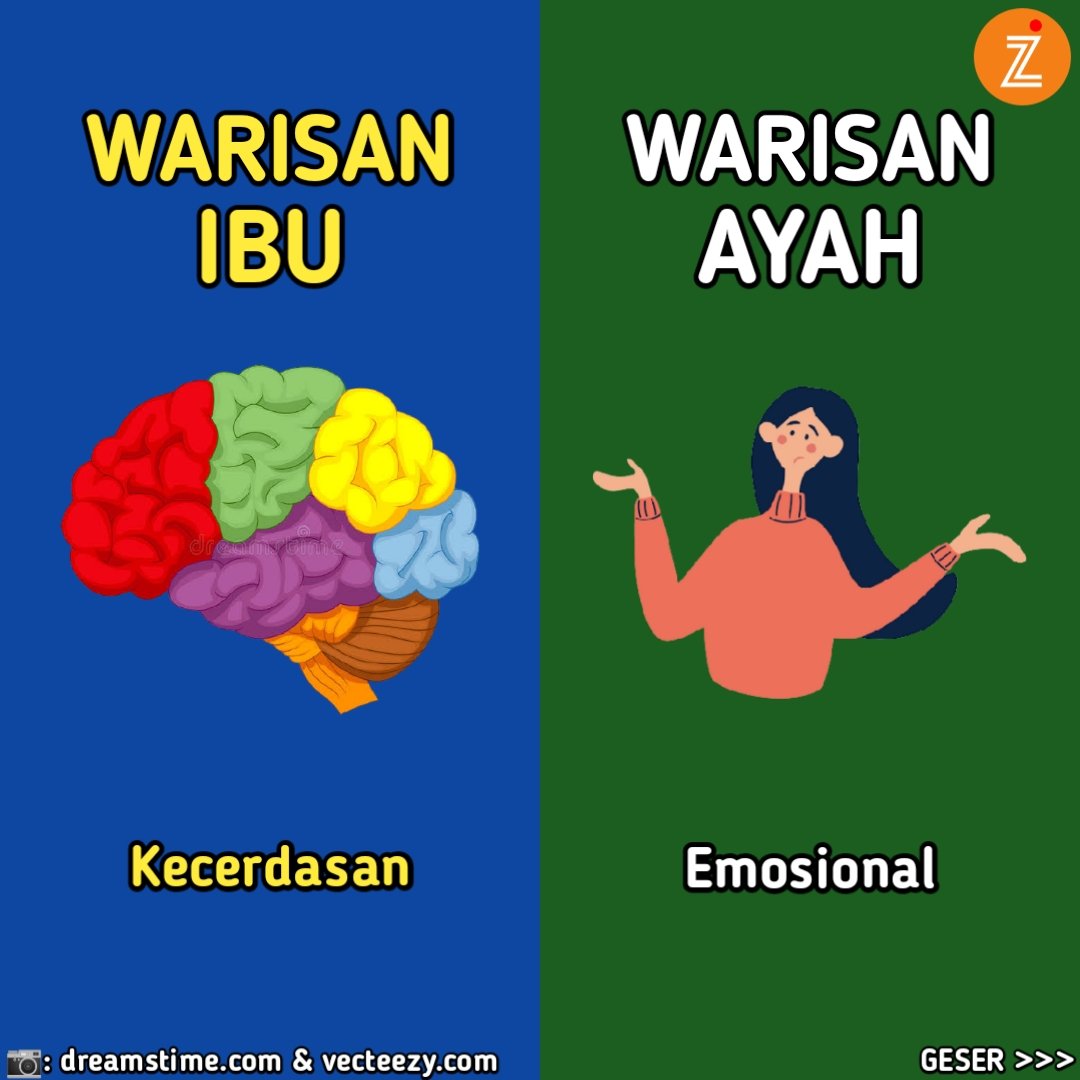 Infozoneid's tweet photo. Warisan Gen dari Ibu dan Ayah, mana yang paling Dominan di diri kamu nih ?
.
📄: @/aslifakta
.
#genetik #genetika #genetikk #genetiktest #genetikadihati #genetikayah #genetikibu #kecerdasan #kecerdasananak #kecerdasanemosional #kecerdasanemosi #kecerdasanotak #emosional https://t.co/rNO7TvdntJ