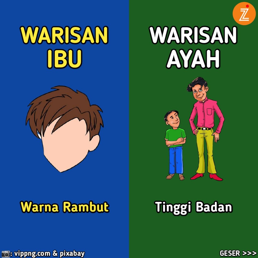 Infozoneid's tweet photo. Warisan Gen dari Ibu dan Ayah, mana yang paling Dominan di diri kamu nih ?
.
📄: @/aslifakta
.
#genetik #genetika #genetikk #genetiktest #genetikadihati #genetikayah #genetikibu #kecerdasan #kecerdasananak #kecerdasanemosional #kecerdasanemosi #kecerdasanotak #emosional https://t.co/rNO7TvdntJ